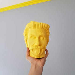  Printed sculpture of Einstein held against a gray wall with a yellow border